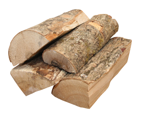 Ash Logs