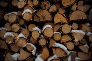 Winter Logs